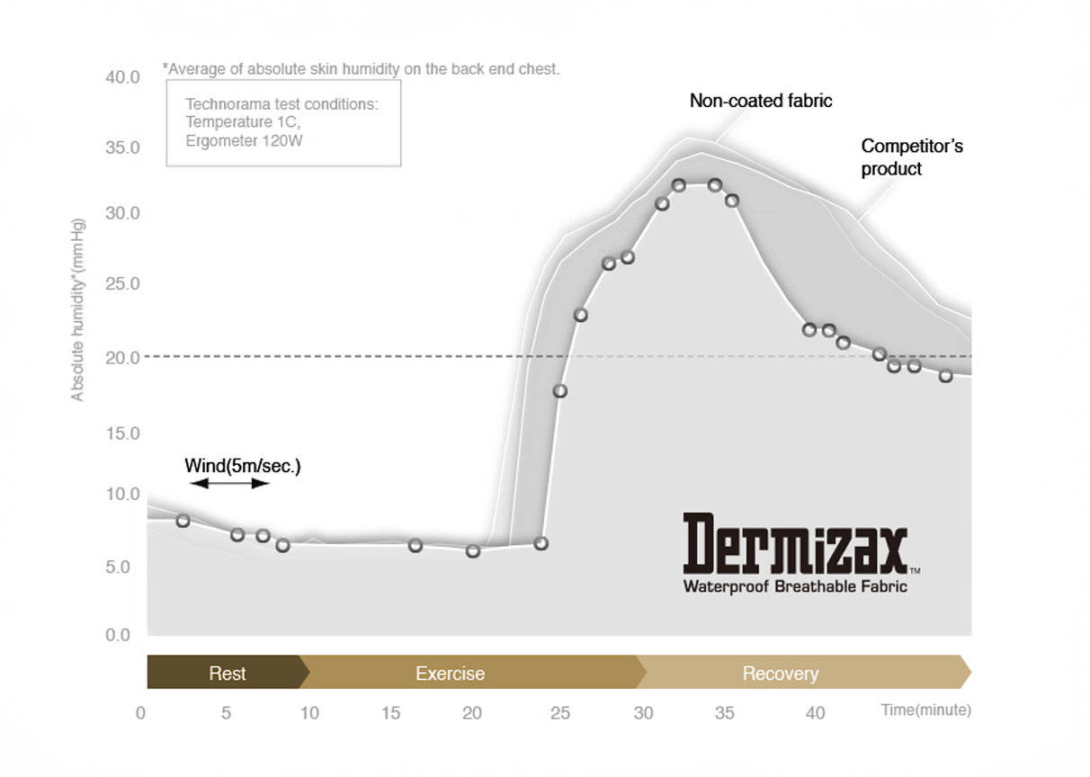 dermizax-schema2
