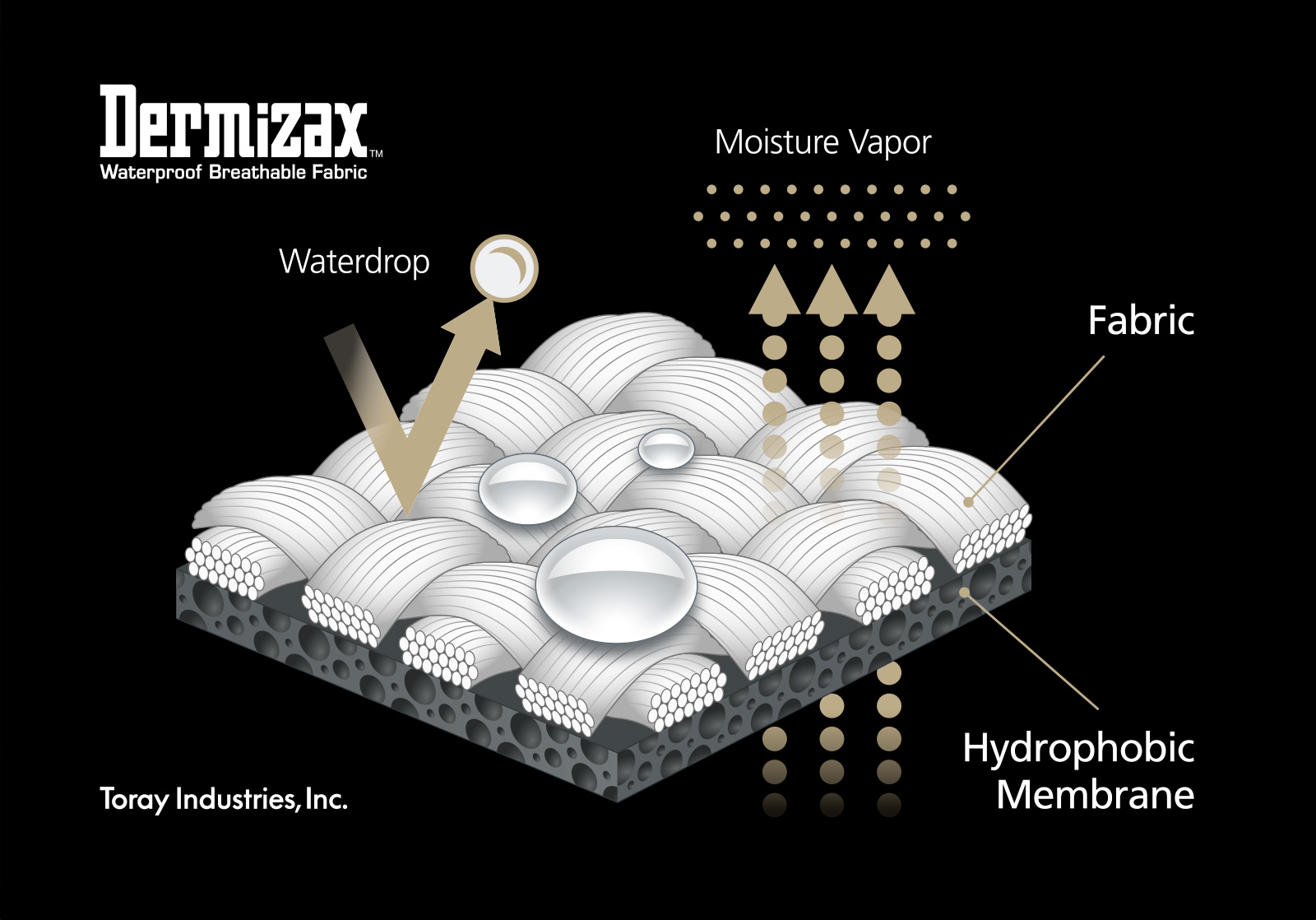 schema-dermizax